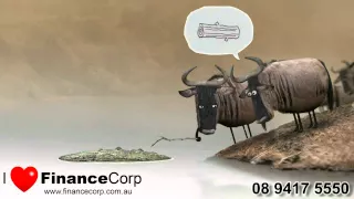 FinanceCorp beast video