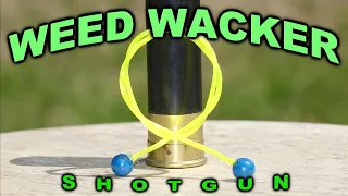 The Mighty 12ga WEED WACKER Round  (mini-bolo rounds)