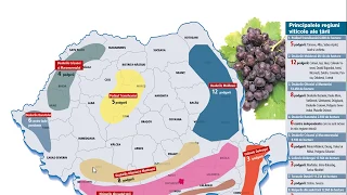Cultura Plantelor - lecție de geografie - Geografia României