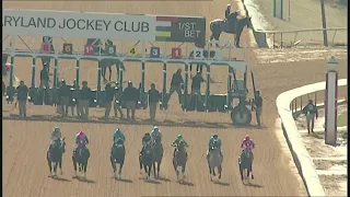 Laurel Park 03 11 2022 Race 5