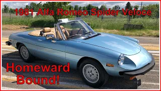 1981 Alfa Romeo Spider Veloce, Homeward Bound!