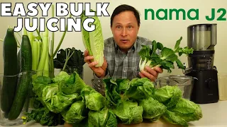 Nama J2 Juicer Best for Bulk Green Juicing 7 Quarts in 1 Hour