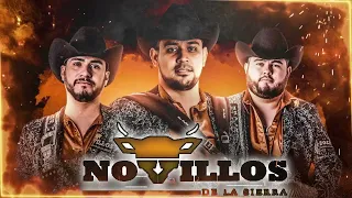 Novillos de La Sierra ~ Las Mas Chingonas Pa Bailar ~ 100% Cumbias Sierreñas