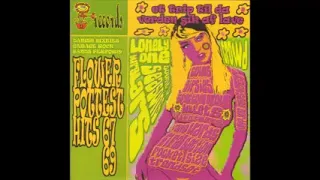 Various - Danish Sixties Garage Rock Bands Perform Flower Pottest Hits 67-69 Music Compilation LP 🇩🇰