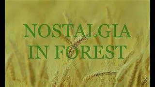 1 Hour Ambient Music | Nostalgia in Nature - Verdure