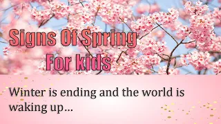 Signs of Spring for kids | Kids Show Time