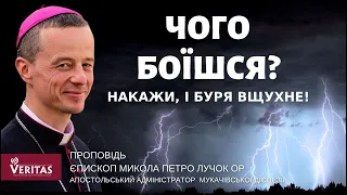 Чого боїшся? Накажи, і буря вщухне!Проповідь єпископ Микола Петро Лучок ОР