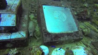 Fujikawa Maru Dive 1