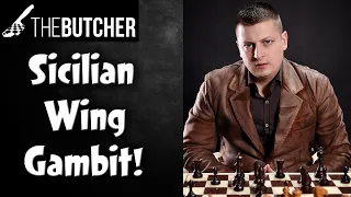 Crush Sicilian Players With The Wing Gambit!!