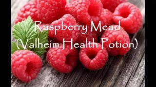 Raspberry Mead Part 1 (Valheim health potion)