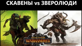 Скавены vs Зверолюды Рейтинг Бои Total War: WARHAMMER 3