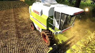 koszenie kukurydzy na ziarno fs19 claas dominator claas axion 840 + green power