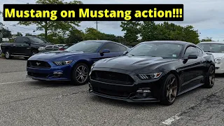 2016 Mustang GT Auto vs 2015 Mustang GT Manual