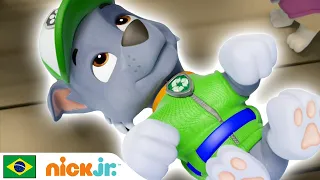 Patrulha Canina | Hora dos filhotes! - parte 1 | Nick Jr. em Português