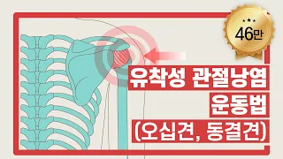 오십견(유착성 관절낭염) 운동법 | 서울성모병원
