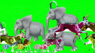 Animal Running With Deer And Ant  Animation | Animals Cartoon Stampede Green Screen#@JPCartoon514