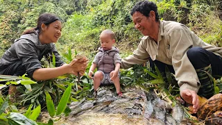 Single mother: Grandfather catches giant fish with bamboo net and preserves fish | Ly Thi Duyen