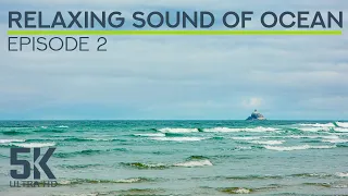 8 HRS Peaceful Ambience of Ocean Waves & Seagulls Squawking - Relaxing Sound of Pacific Ocean - #2