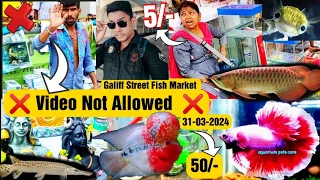 Recent Aquarium Fish Price Update | Galiff street Fish Market | Galiff Street new video 31-03-2024