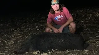 Wild Hog Hunting in Texas! {Catch Clean Cook}