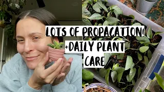 Propagating 100 Houseplant Cuttings! Planty Day Vlog!