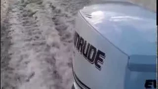 Evinrude 50 DSL