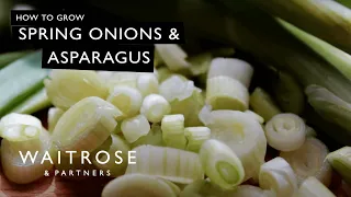 How To Grow Spring Onions And Asparagus | Waitrose