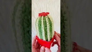 صبار كروشيه/crochet cactus😃🌵💚