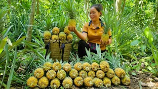 Harvest Pineapple garden Goes to market to sell, Grow more Pineapple - Animal Care | Trieu Mai Huong