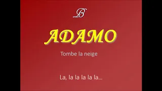 Adamo - Tombe la neige - Karaoké