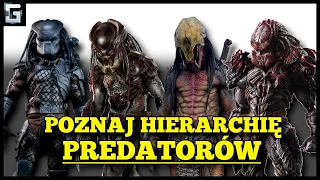 Jak wygląda Hierarchia Predatorów?