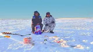 Наловили ПЛОТВЫ на озере . Ловля плотвы в глухозимье на мормышку и крючок .