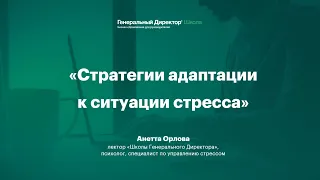 Стратегии адаптации к ситуации стресса