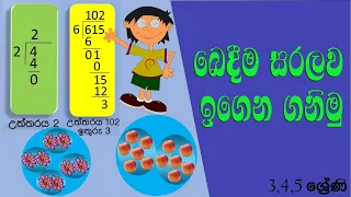 bedima grade 3,4,5 maths | sinhala dirga bedima