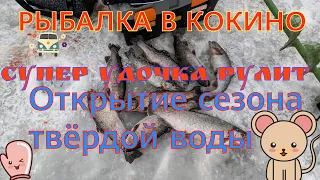 СУПЕР УДОЧКА РУЛИТ .#форель#ловляфорели#рыбалканафорель