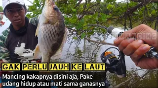 Spot Mancing di Sarang Ikan Kakap Baru Lempar Umpan Langsung Strike