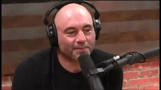 Joe Rogan on Near Death Experiences