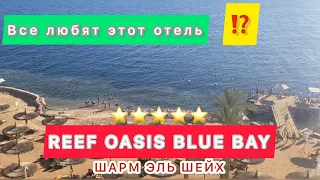 ЛУЧШИЙ РИФ ❤️ REEF OASIS BLUE BAY RESORT / Первая линия / Шарм эль шейх / Best reef in Sharm /