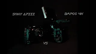 Sony A7iii VS BMPCC 4K in 2020 !