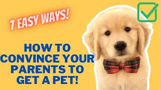 Top 7 BEST Ways to Convince Your Parents to Get a Pet!