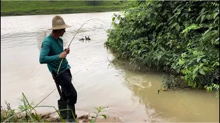 Só pode ter saído do rio, era muitas tilápias mas muitas mesmo, pescaria!!!