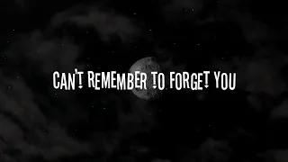 Shakira - Can't Remember To Forget You (speed up+lyrics)
