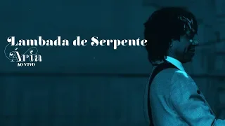 Djavan: "Lambada de Serpente" - Ária Ao Vivo - Clipe Oficial