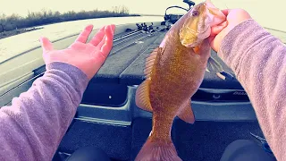 #1 Key To BASS TOURNAMENT Practice Fishing (Be Efficient) Find Bass Fast