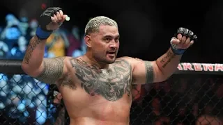 Mark Hunt Highlights and Cheeky Antics