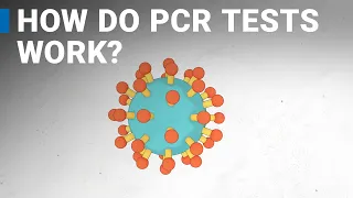 How do COVID-19 tests work? RT-PCR explained.