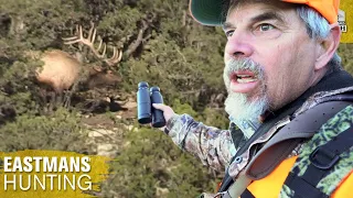 Elk Hunting One Of Colorado's Best Areas