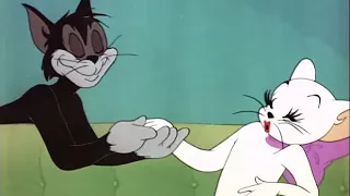 Tom and Jerry cartoon episode 55 - Casanova Cat 1950 - Funny animals cartoons for kids