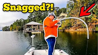 I Thought I Was SNAGGED... Then I Felt It SWIMMING! **Lake Martin**