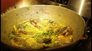 ARMORED CATFISH/HASSAR CURRY GUYANESE STYLE